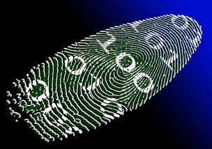 航锦科技最新公告，引领未来科技的创新之路