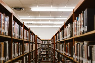 河南科技大学应用工程学院新校区，科技创新与教育发展的新引擎