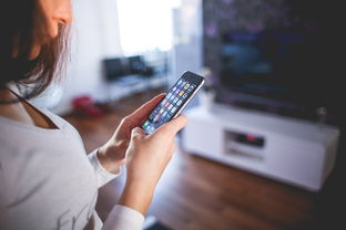 探索科技资讯App的最新版本，功能、更新与用户体验