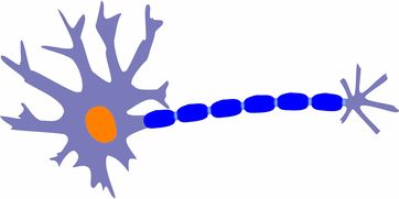 探索科技生活，科学手抄报模板的设计与应用  第1张
